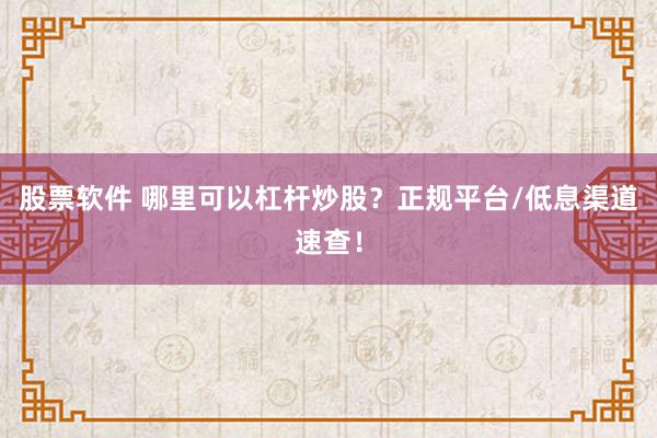 股票软件 哪里可以杠杆炒股？正规平台/低息渠道速查！