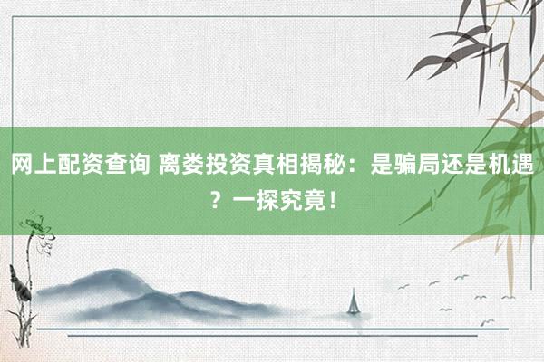 网上配资查询 离娄投资真相揭秘：是骗局还是机遇？一探究竟！