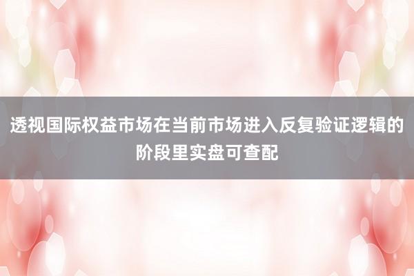 透视国际权益市场在当前市场进入反复验证逻辑的阶段里实盘可查配