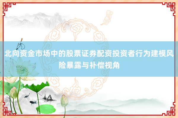 北向资金市场中的股票证券配资投资者行为建模风险暴露与补偿视角