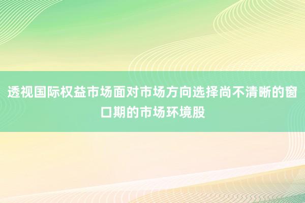 透视国际权益市场面对市场方向选择尚不清晰的窗口期的市场环境股