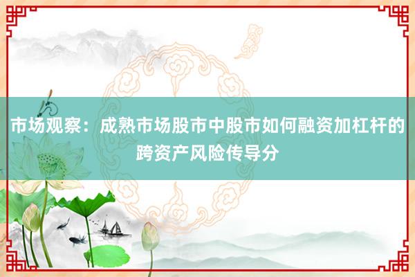 市场观察：成熟市场股市中股市如何融资加杠杆的跨资产风险传导分