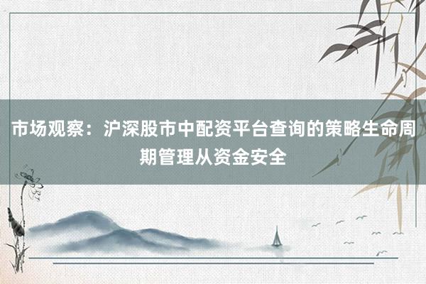 市场观察：沪深股市中配资平台查询的策略生命周期管理从资金安全