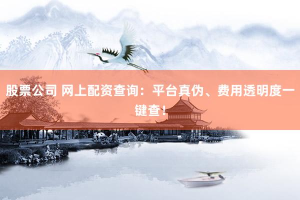 股票公司 网上配资查询：平台真伪、费用透明度一键查！