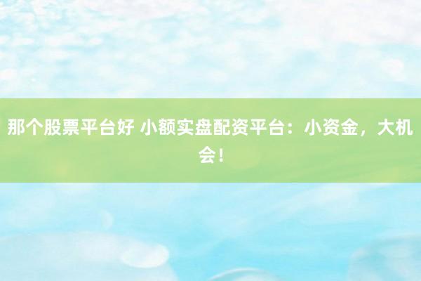 那个股票平台好 小额实盘配资平台：小资金，大机会！